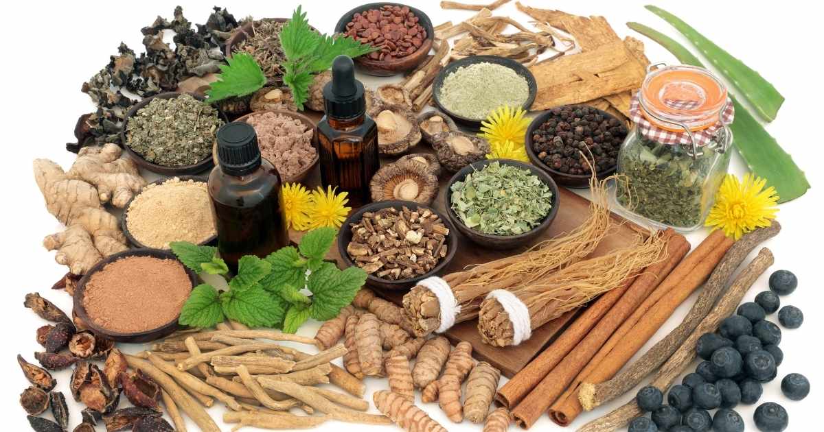 What is the difference between Maca and Ashwagandha, which one can help